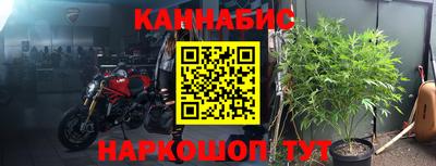 эйфоретик Лесосибирск