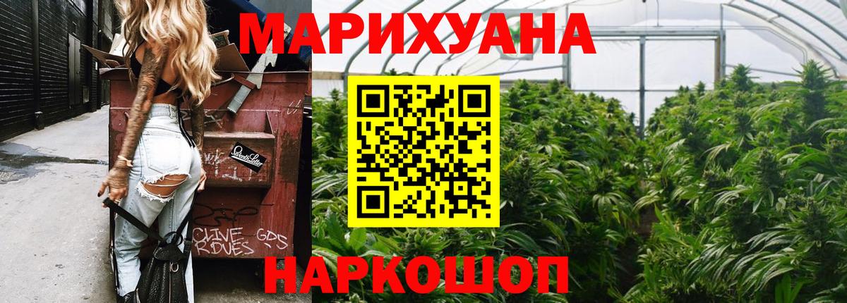Марихуана конопля  Вход с VPN  Тара  Конопля VHQ  Каннабис планчик 