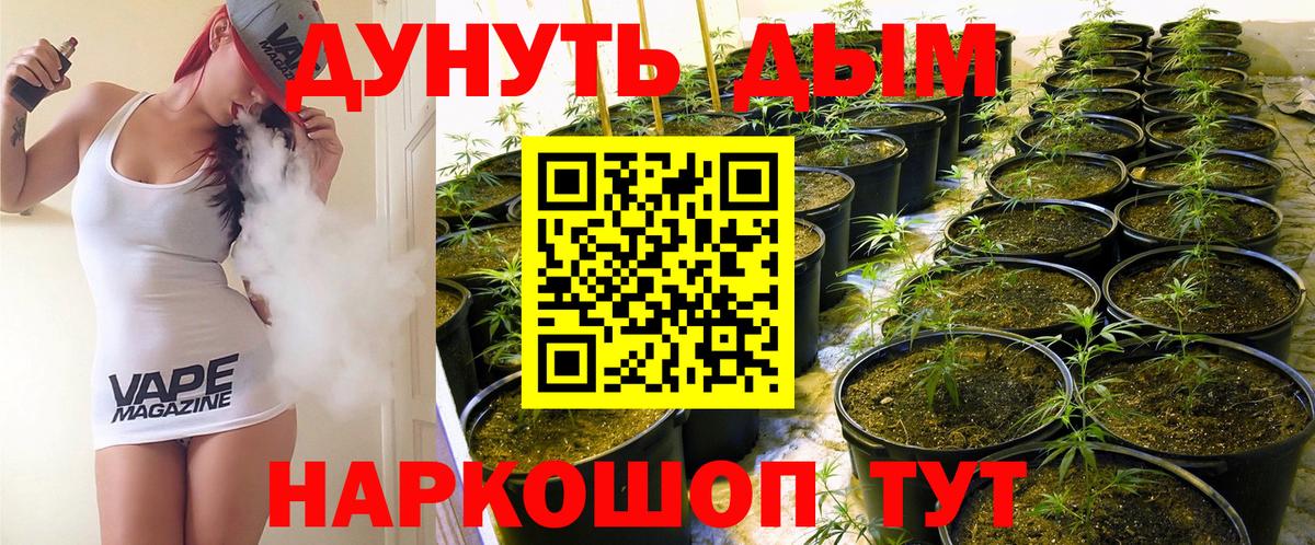 Конопля марихуана Тара